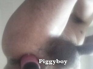 Piggyboy