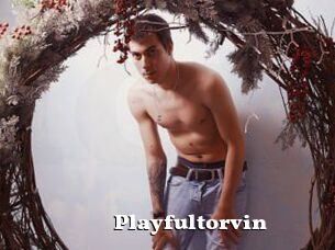 Playfultorvin