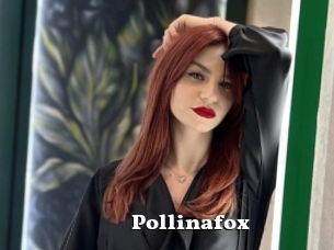 Pollinafox