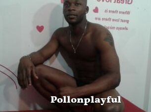 Pollonplayful