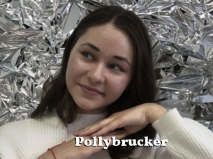 Pollybrucker