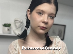 Primrosefenney