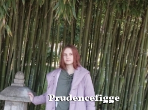 Prudencefigge