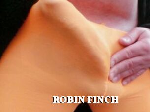 ROBIN_FINCH