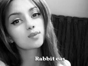 Rabbit_eas