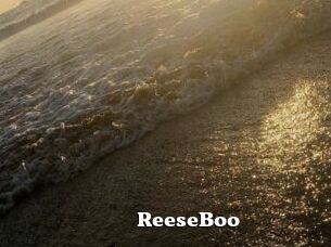 ReeseBoo