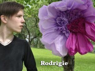 Rodrigie