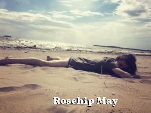 Rosehip_May