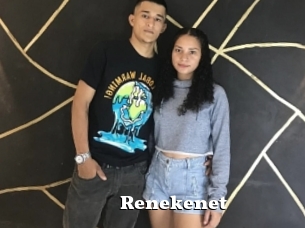 Renekenet