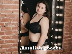 Rosaliebigboobs