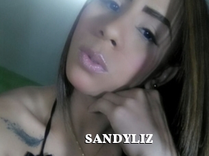 SANDYLIZ