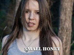 SMALL_HONEY