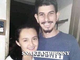 SNAKEANDBUNNY