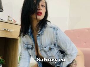 Sahory_co