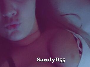 SandyD55