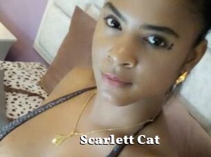 Scarlett_Cat