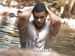 Shein_A