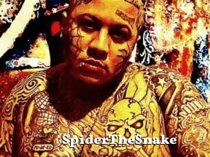 SpiderTheSnake