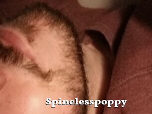 Spinelesspoppy