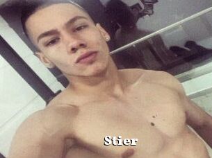 Stier