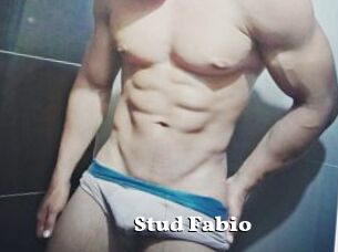 Stud_Fabio