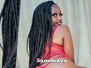 Sammaya