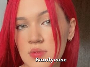 Sandycase