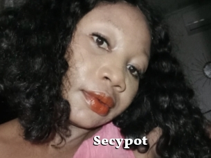 Secypot