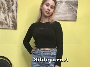 Sibleyarnet