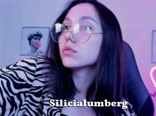 Silicialumberg