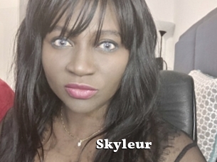 Skyleur