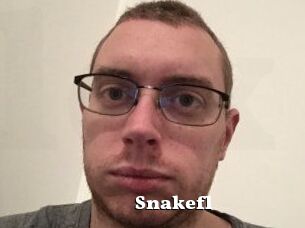 Snakefl