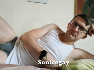 Sonicegay