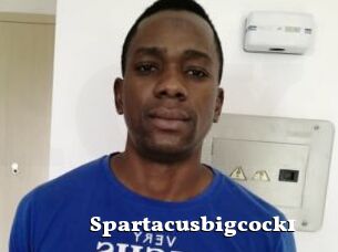 Spartacusbigcock1