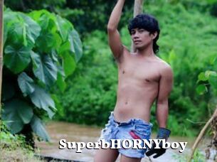 SuperbHORNYboy