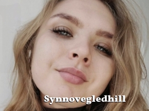 Synnovegledhill