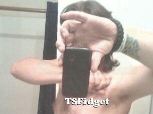 TSFidget