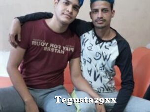 Tegusta29xx