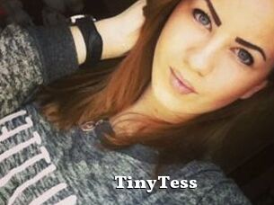 TinyTess