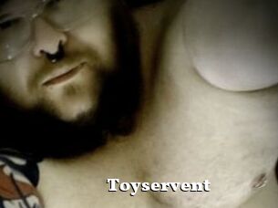 Toyservent