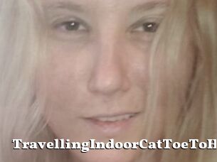 TravellingIndoorCatToeToHoe