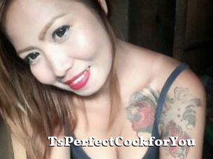 TsPerfectCockforYou