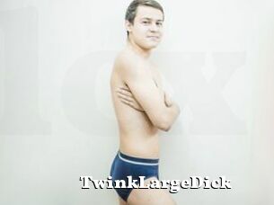 TwinkLargeDick