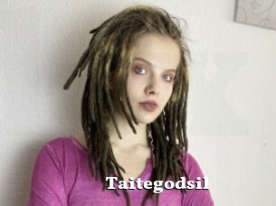 Taitegodsil