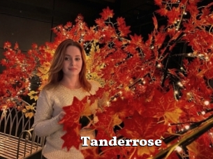 Tanderrose