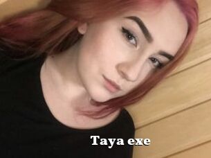 Taya_exe