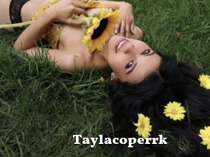 Taylacoperrk