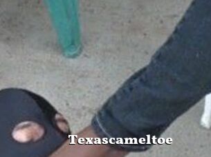 Texascameltoe