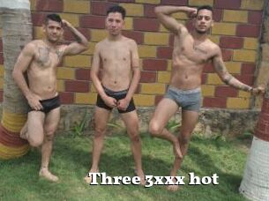 Three_3xxx_hot