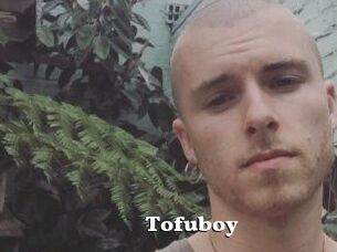 Tofu_boy